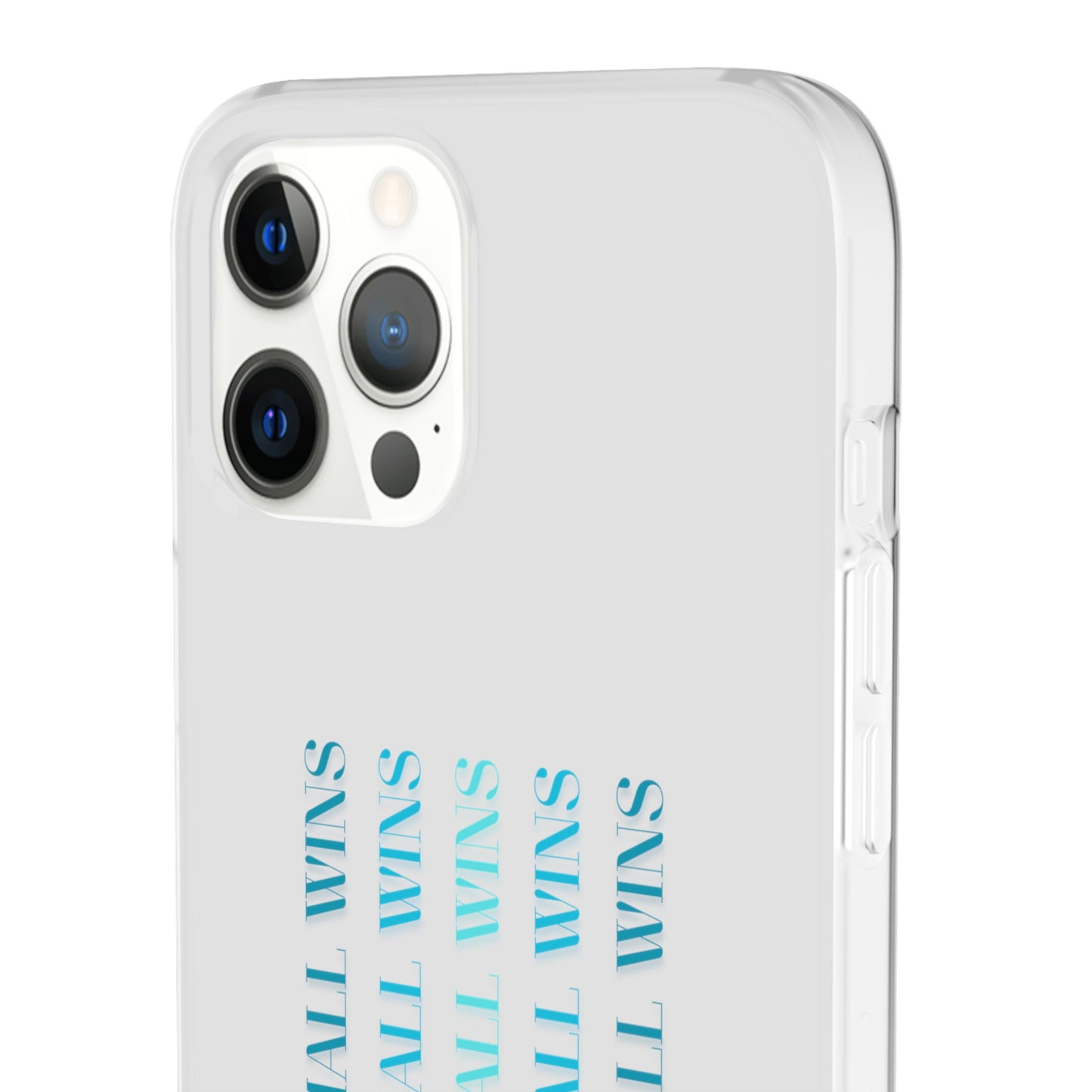 Celebrate Small Wins #22 Flexi Cases iPhone Samsung Gift Packaging